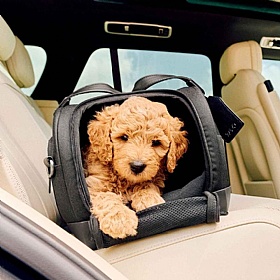 Tavo Dupree Airline Carry-On Dog Car Seat and Carrier