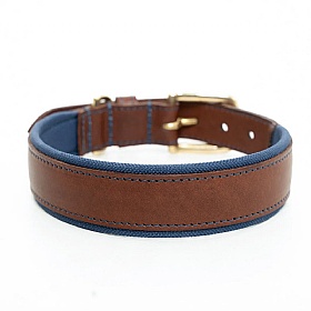 Morston Padded Leather Dog Collar