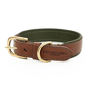 Morston Padded Leather Dog Collar