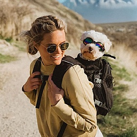 K9 Sport Shades Dog Goggles