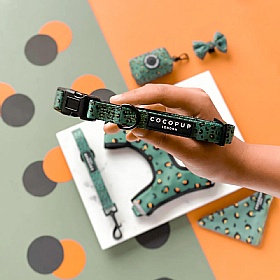 Cocopup London Khaki Leopard Puppy Collar and Lead Set