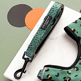 Cocopup London Khaki Leopard Puppy Collar and Lead Set