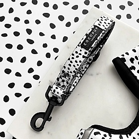 Cocopup London Monochrome Spots Puppy Collar and Lead Set