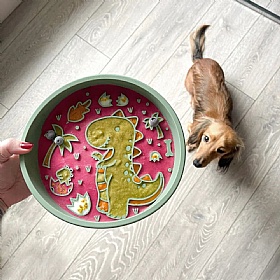 Dinopaws Slow Feeder Dog Bowl and Lick Mat