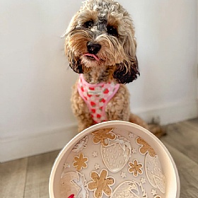 Pupberry Fields Slow Feeder Dog Bowl and Lick Mat