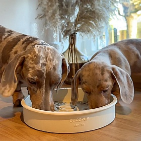 Cream Flowers Slow Feeder Bowl and Lick Mat