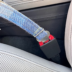 Baby Blue Check Harris Tweed Dog Seat Belt