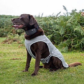 Rukka Dog Cooling Vest