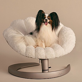 Tavo Shell Swaying Dog Bed Lounger