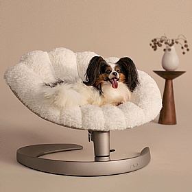 Tavo Shell Swaying Dog Bed Lounger