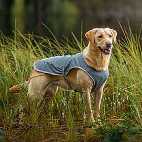 Rukka Dog Cooling Vest