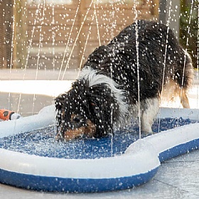 Quapas Splash Sprinkle Dog Mat
