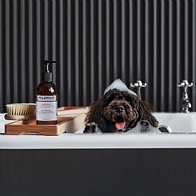 Wild Wash Shampoo for Dark or Greasy Coats 300ml
