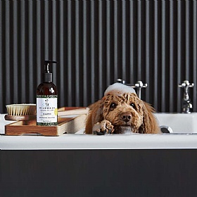 Wild Wash Dog Shampoo for Light Coloured Coats - 300ml