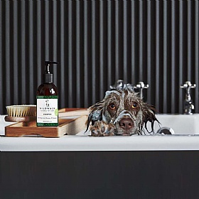 Wild Wash Dog Shampoo for Deep Cleaning and Deodorising 300ml