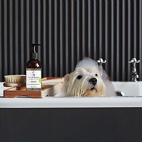 Wild Wash Dog Shampoo for Sensitive Coats and Puppies