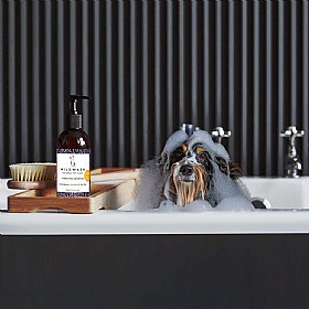 Wild Wash Hydrating Dog Shampoo