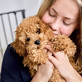 DogSpace Max 2-in-1 Dog Gate and Puppy Pen