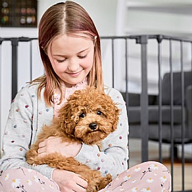 DogSpace Max 2-in-1 Dog Gate and Puppy Pen