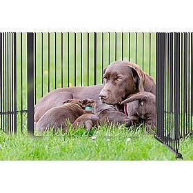 DogSpace King Mummy and Puppy Dog Pen / Room Divider