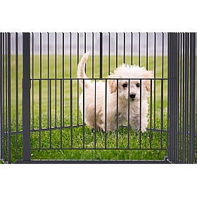 DogSpace King Mummy and Puppy Dog Pen / Room Divider