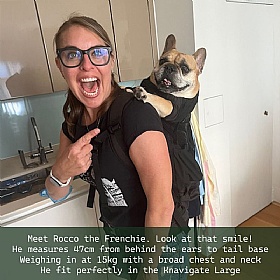 K9 Knavigate Dog Backpack Carrier Large