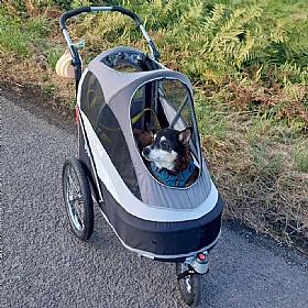 Sporty Deluxe Dog Trailer and Dog Pram with Free Raincover