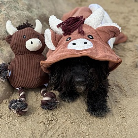Harold the Highland Cow Dog Drying Robe
