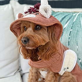 Harold the Highland Cow Dog Drying Robe