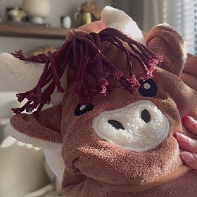 Harold the Highland Cow Dog Drying Robe