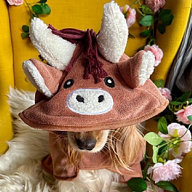 Harold the Highland Cow Dog Drying Robe