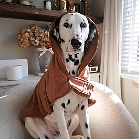 Harold the Highland Cow Dog Drying Robe