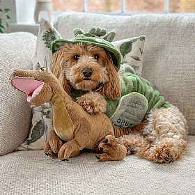 Dinopup Dog Drying Robe