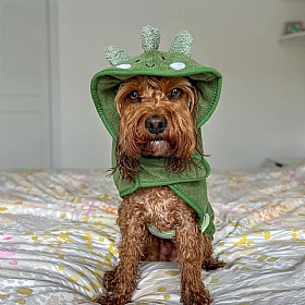 Dinopup Dog Drying Robe