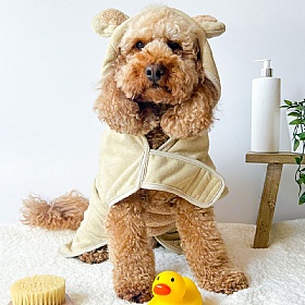 Teddy Dog Drying Robe