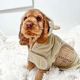 Teddy Dog Drying Robe