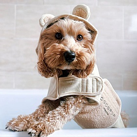 Teddy Dog Drying Robe