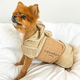 Teddy Dog Drying Robe