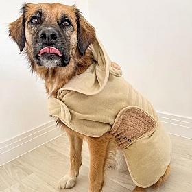 Teddy Dog Drying Robe