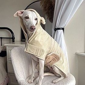 Teddy Dog Drying Robe