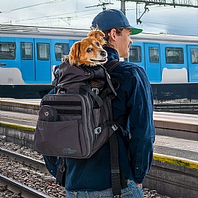 K9 Sky Pack Travel Dog Backpack and Carrier