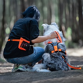 Quapas Easy Slip On Dog Harness