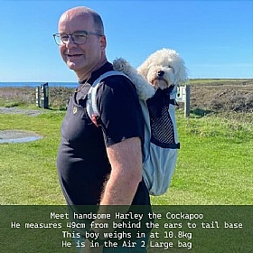 K9 Air 2 Dog Backpack Carrier
