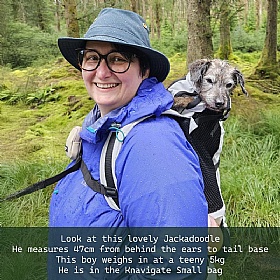 K9 Knavigate Dog Backpack Carrier