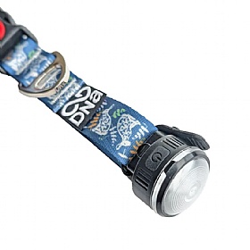 Halo Dog Walking Safety Light