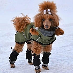 Rukka Waterproof Line Dog Leg Covers