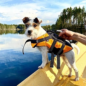 Rukka Water Dog Safety Life Vest