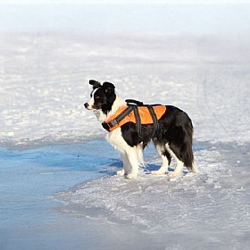 Rukka Water Dog Safety Life Vest