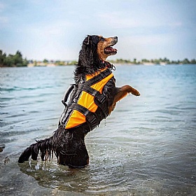 Rukka Water Dog Safety Life Vest