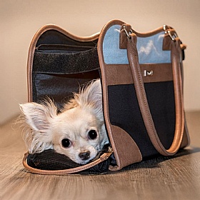 Urban Traveller Small Dog Tote Bag Carrier